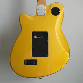 RG-SUS Reeves Gabrels Signature