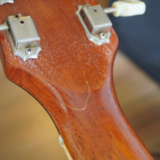 1973 Les Paul Deluxe - Gold Top