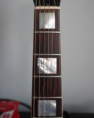 1969 ES-335 TDC
