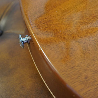 Les Paul Standard Gold Top