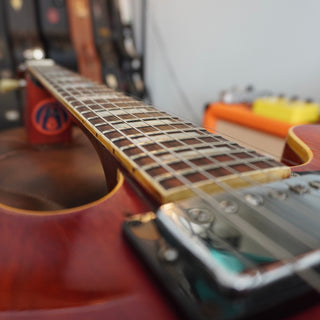 1969 ES-335 TDC