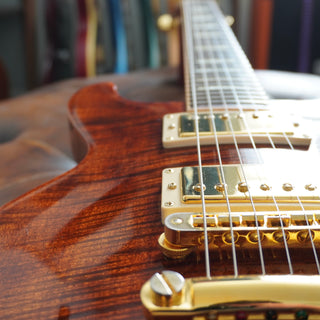 Les Paul Standard Double Cutaway Plus