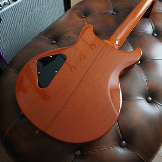 Les Paul Standard Double Cutaway Plus