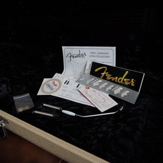 Eric Johnson Stratocaster