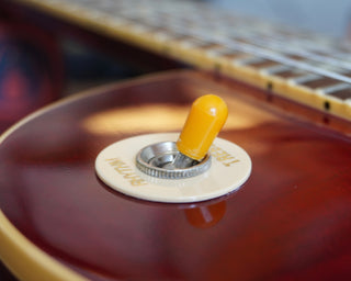 1989 Pre-Historic Les Paul