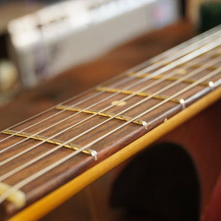 Texola - Sherwood Green Relic