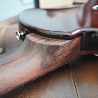 ‘07 Singlecut Tremolo 10-Top w/ Rosewood Neck