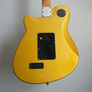 RG-SUS Reeves Gabrels Signature