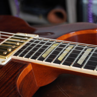 Les Paul Standard Double Cutaway Plus