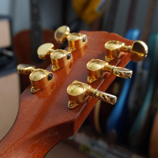 Les Paul Standard Double Cutaway Plus