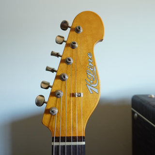 Springfield - Daphne Blue