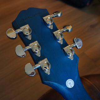 Les Paul Traditional Pro-IV