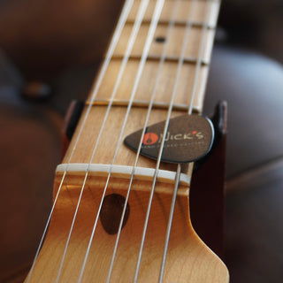 J Mascis Telecaster